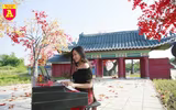 Con đường ngập tràn phong lá đỏ đẹp như phim Hàn Quốc ở Hà Nội